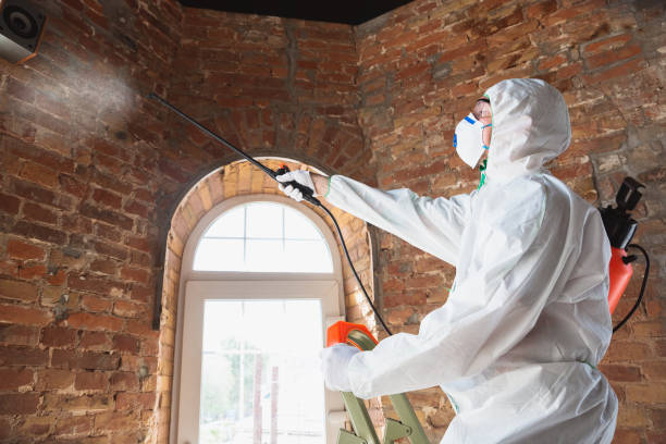 Trusted Benton Park, CA Mold Inspection Experts